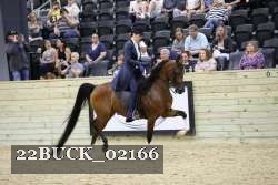 22BUCK_02166 proof