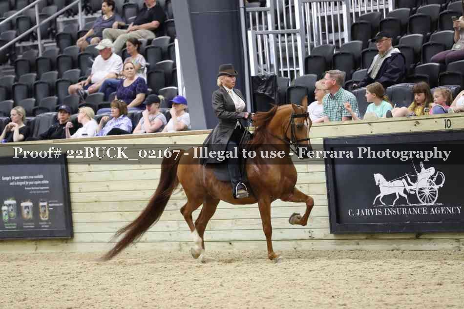 Proof 22BUCK_02167