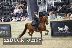 22BUCK_02167 proof