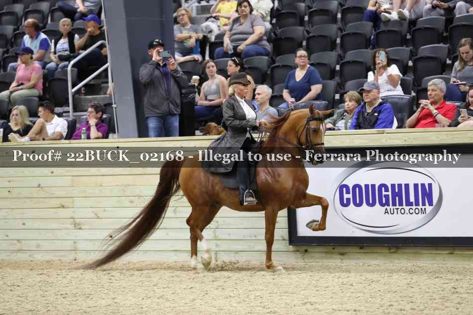 Proof 22BUCK_02168