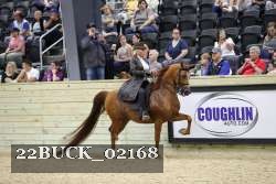 22BUCK_02168 proof