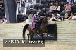22BUCK_02169 proof