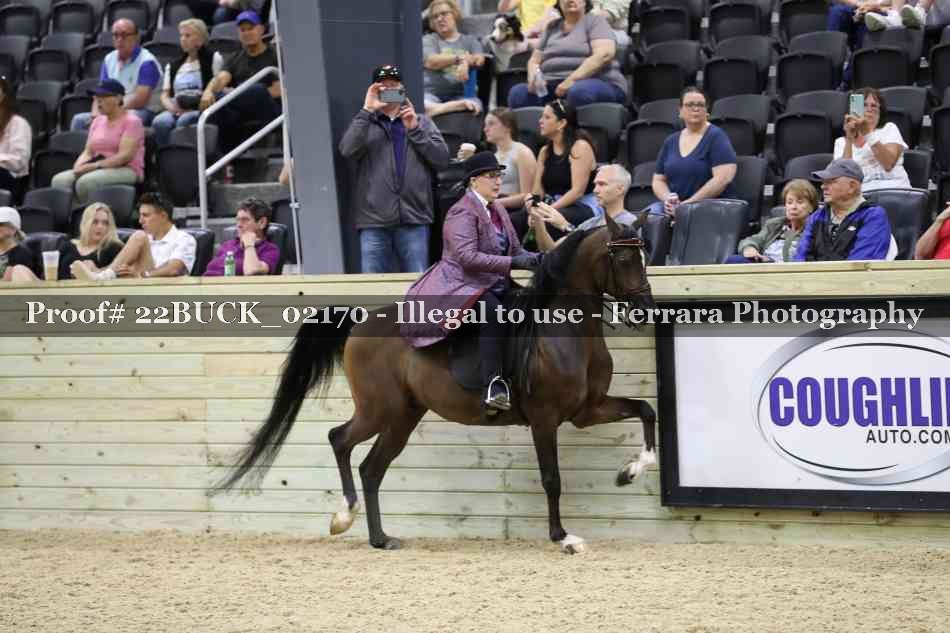 Proof 22BUCK_02170