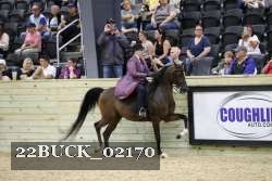 22BUCK_02170 proof