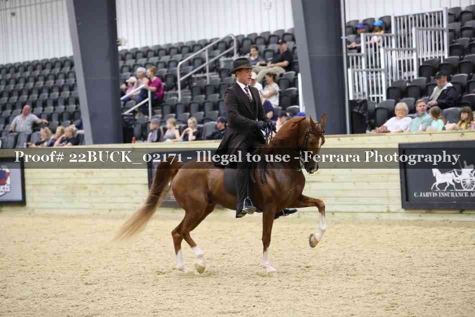 Proof 22BUCK_02171