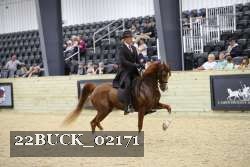 22BUCK_02171 proof