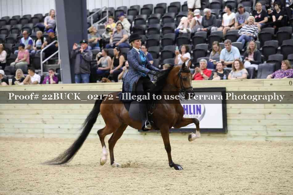 Proof 22BUCK_02172