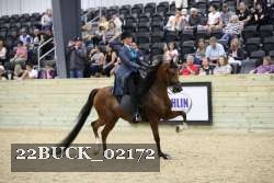 22BUCK_02172 proof