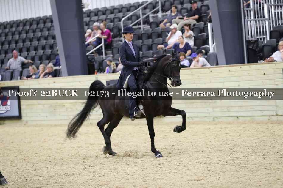 Proof 22BUCK_02173