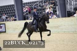 22BUCK_02173 proof