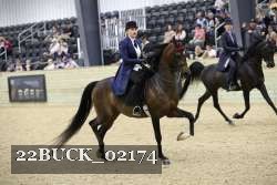 22BUCK_02174 proof