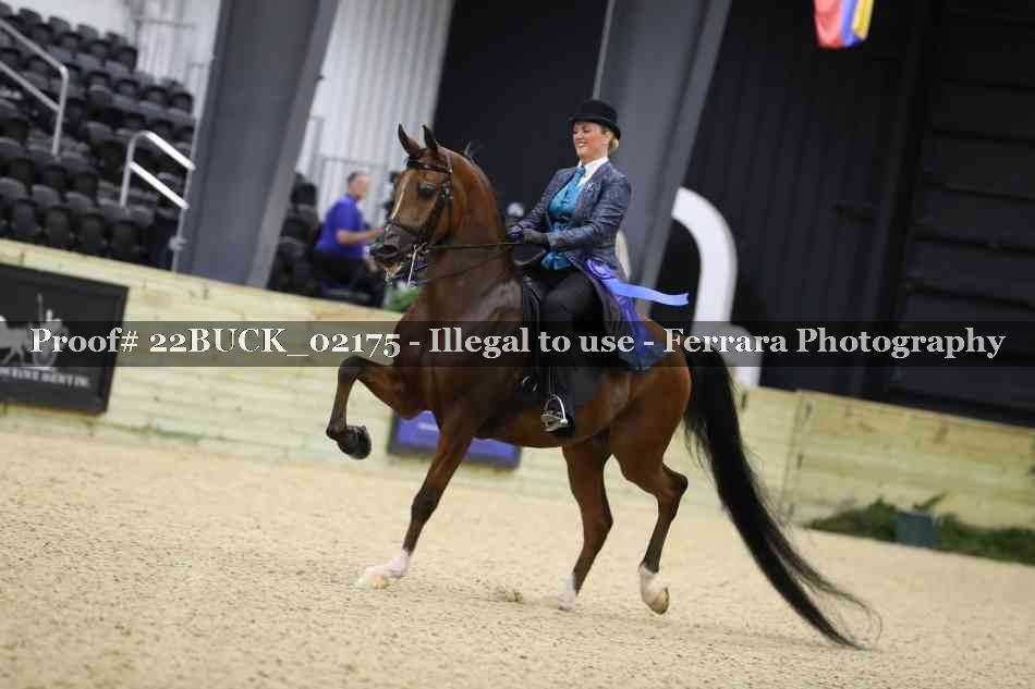 Proof 22BUCK_02175