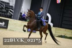 22BUCK_02175 proof