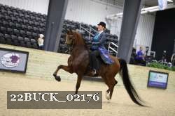 22BUCK_02176 proof
