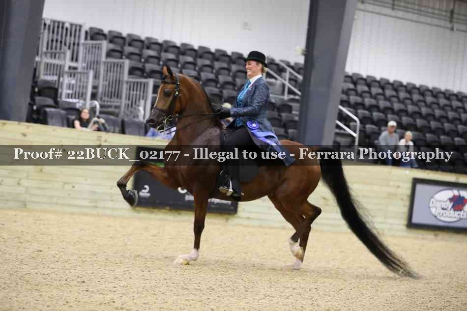 Proof 22BUCK_02177
