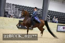 22BUCK_02177 proof