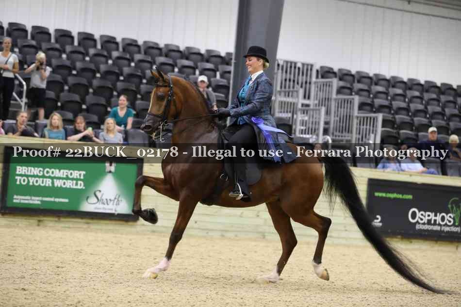 Proof 22BUCK_02178