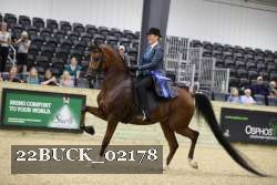 22BUCK_02178 proof