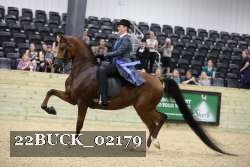 22BUCK_02179 proof
