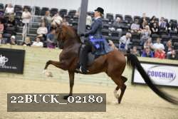 22BUCK_02180 proof