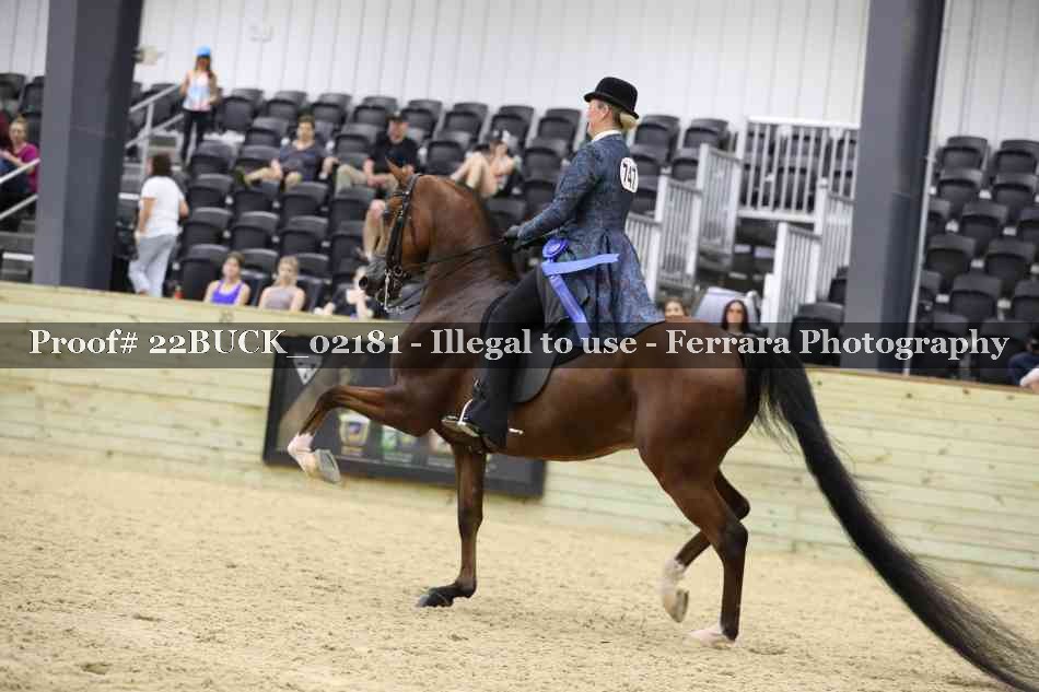 Proof 22BUCK_02181