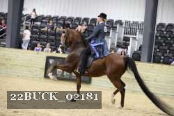 22BUCK_02181 proof