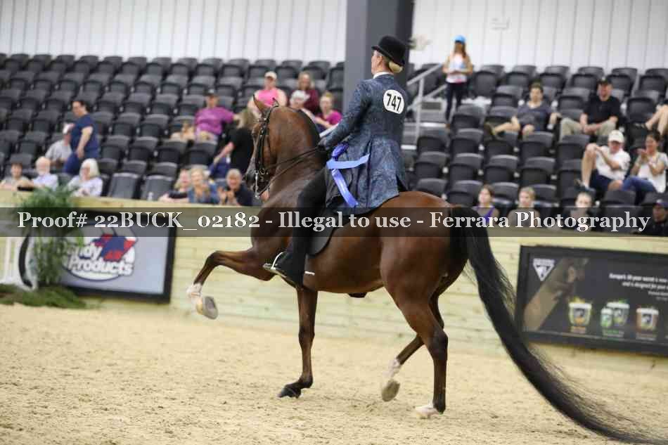 Proof 22BUCK_02182