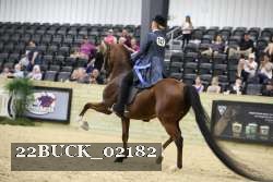 22BUCK_02182 proof