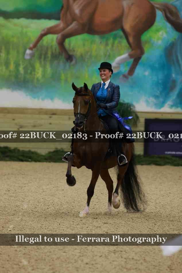 Proof 22BUCK_02183
