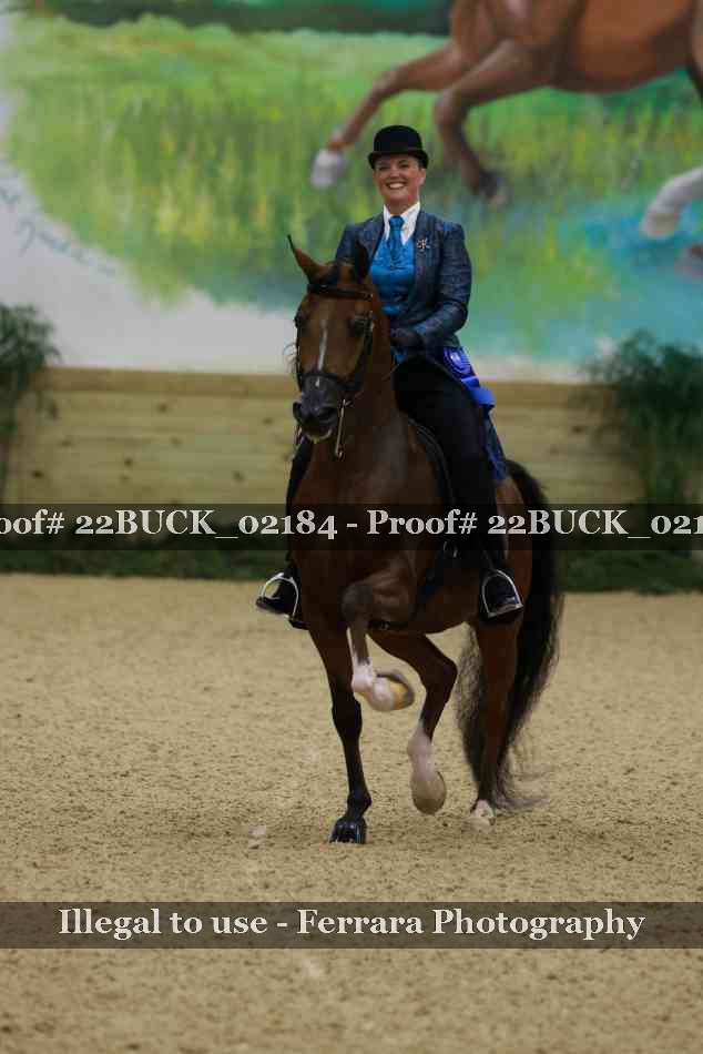 Proof 22BUCK_02184