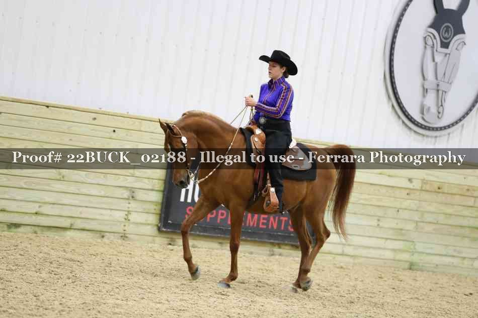 Proof 22BUCK_02188