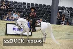 22BUCK_02196 proof