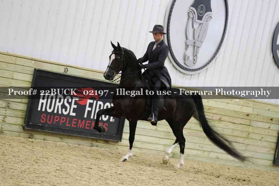 Proof 22BUCK_02197