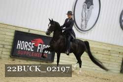 22BUCK_02197 proof