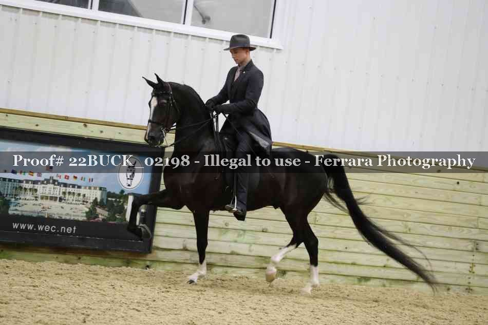 Proof 22BUCK_02198