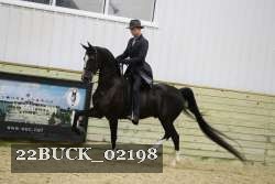 22BUCK_02198 proof
