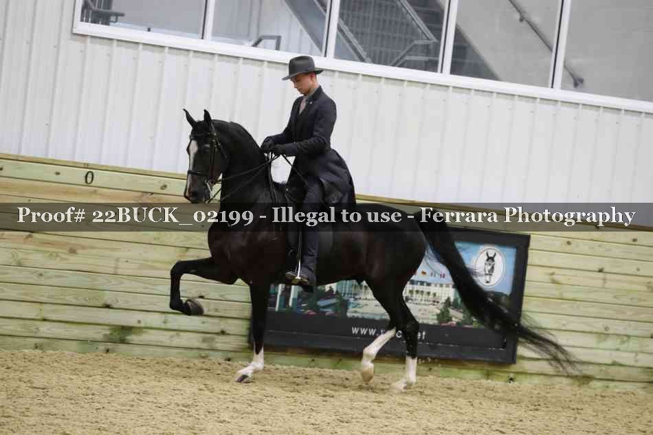 Proof 22BUCK_02199
