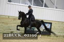 22BUCK_02199 proof