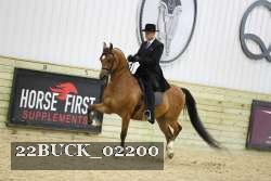22BUCK_02200 proof