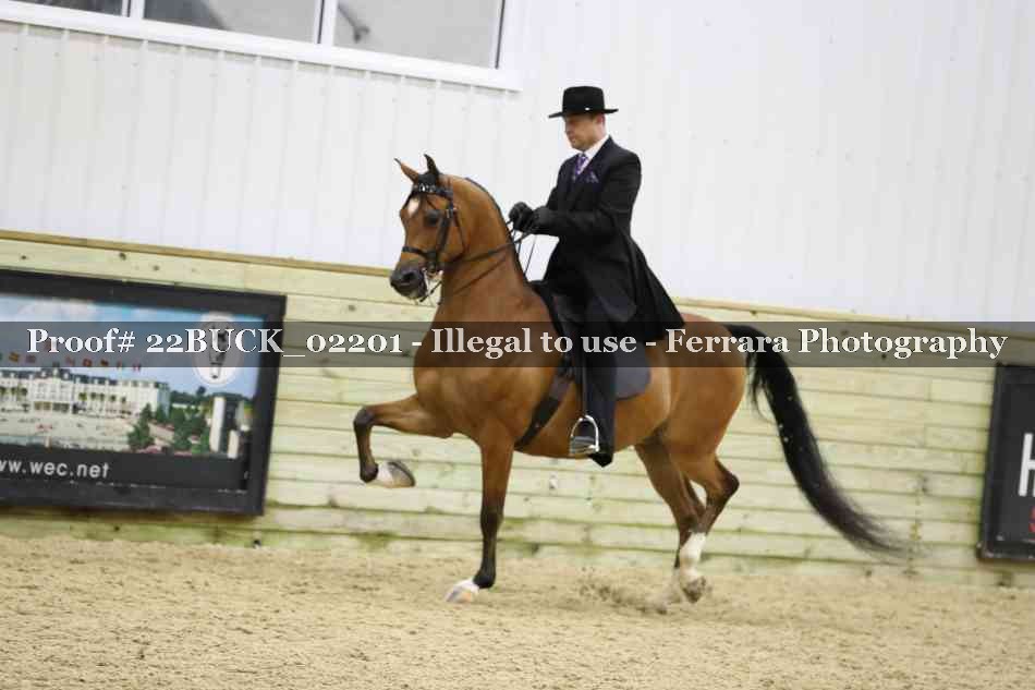 Proof 22BUCK_02201