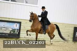 22BUCK_02201 proof