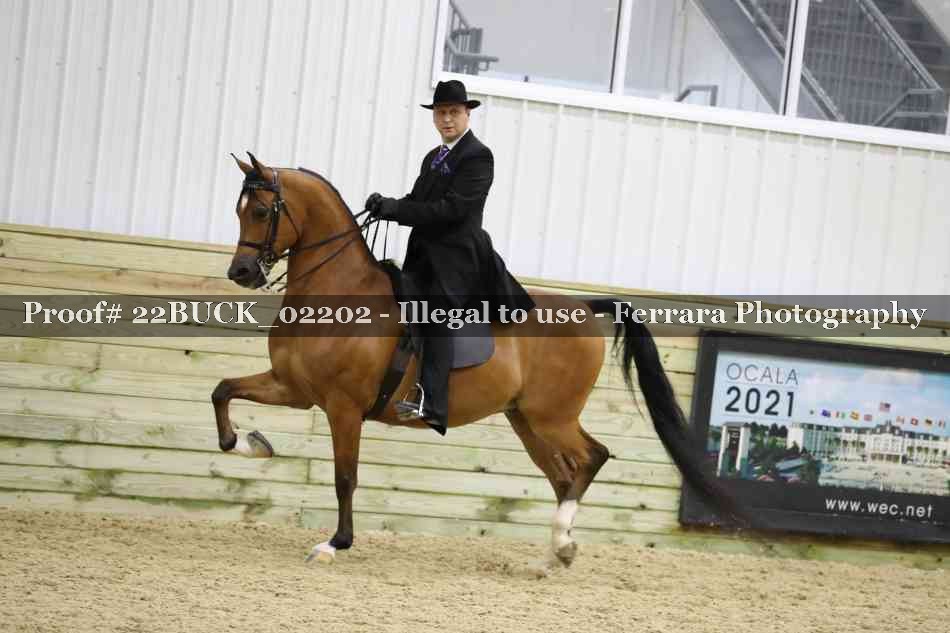 Proof 22BUCK_02202