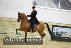 22BUCK_02202 proof