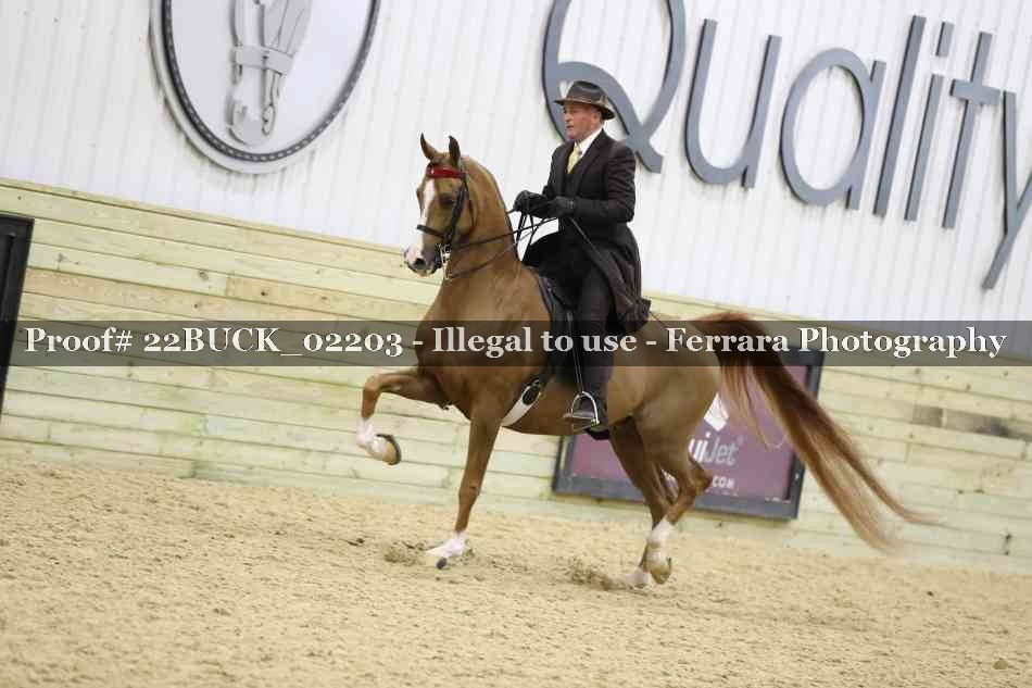 Proof 22BUCK_02203