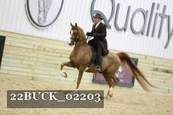 22BUCK_02203 proof
