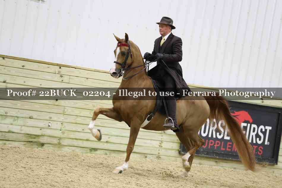 Proof 22BUCK_02204