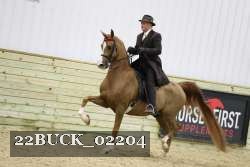 22BUCK_02204 proof