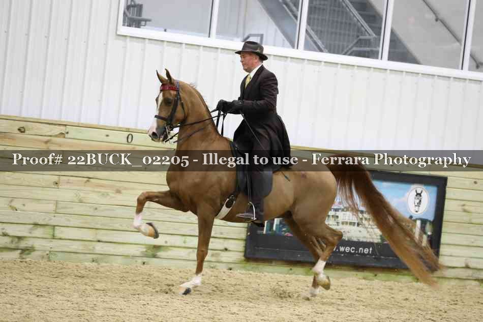 Proof 22BUCK_02205