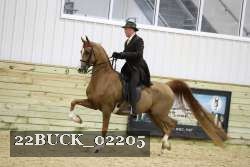 22BUCK_02205 proof