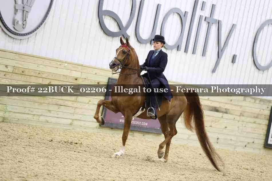 Proof 22BUCK_02206